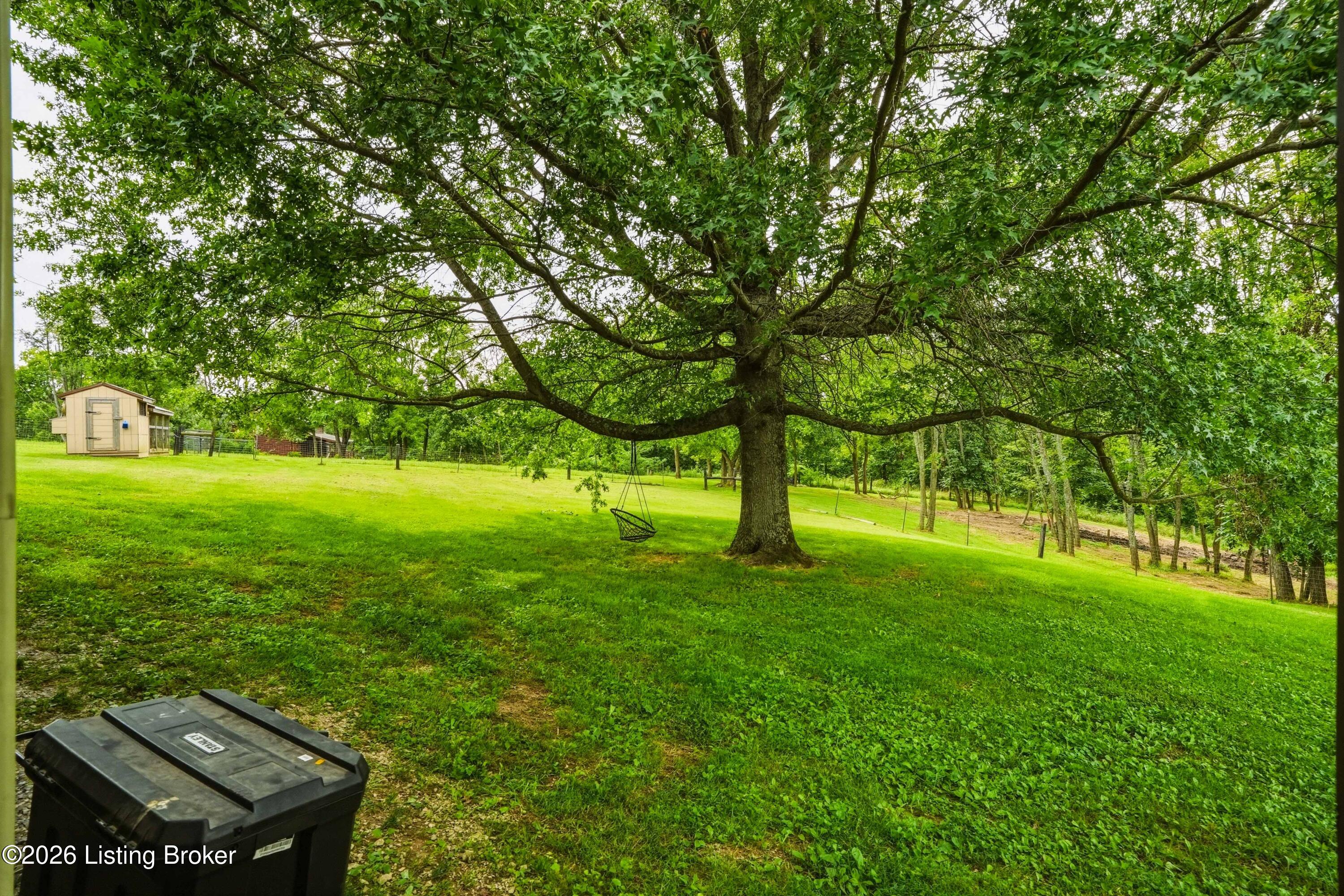 2714 Pea Ridge Road Waddy, KY 40076 - Photo 63 of 72 59_Yard_Tree_01
