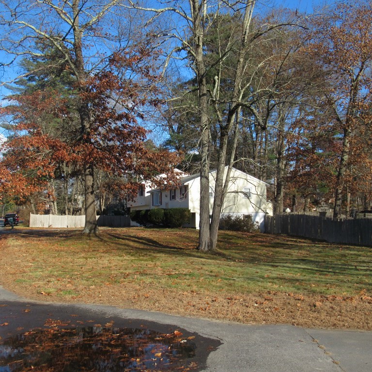 19 Haskell Road Pepperell, MA 01463 - Photo 3 of 40 a view of a yard with a tree