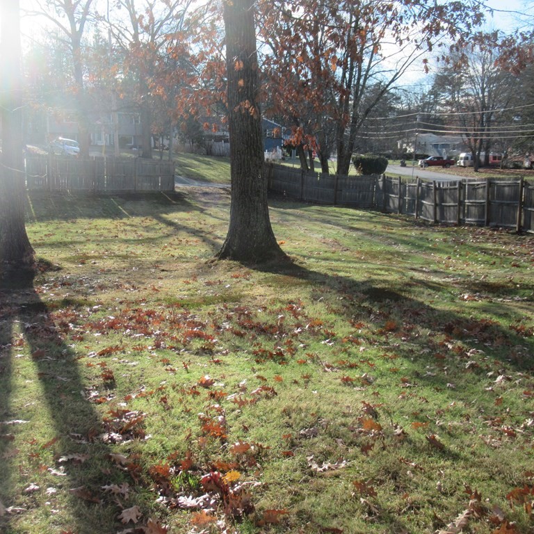 19 Haskell Road Pepperell, MA 01463 - Photo 9 of 40 a view of a yard with a tree