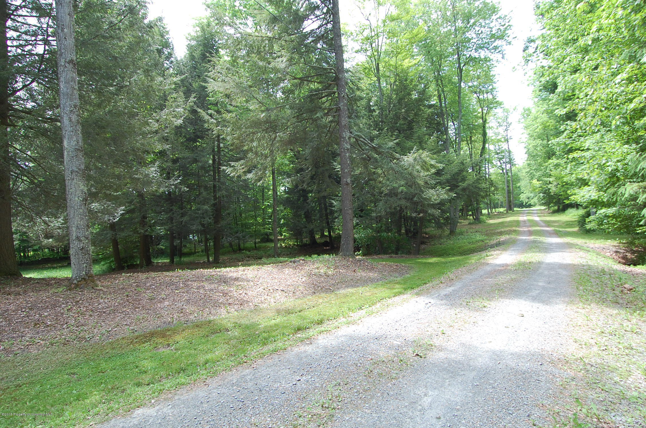 448 Round Pond Road Union Dale, PA 18470 - Photo 42 of 44 a view of outdoor space with trees all around