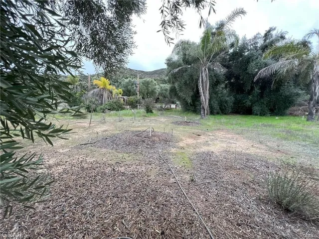 a view of a yard with a tree