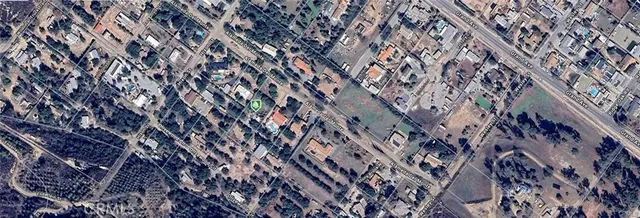 a close up of a tree