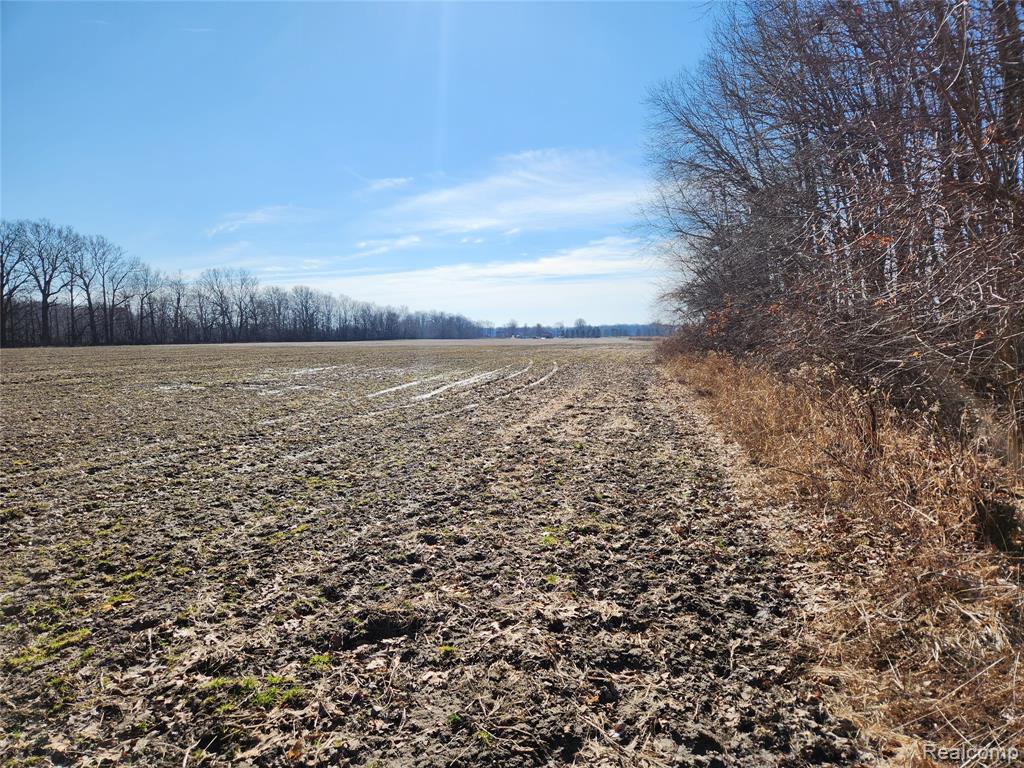 Lot #12 Kunstman Road Ray, MI 48096 - Photo 7 of 15
