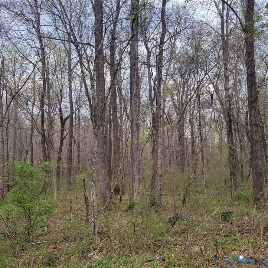 11121 Coalboro Road Chesterfield, VA 23838 - Photo 1 of 14