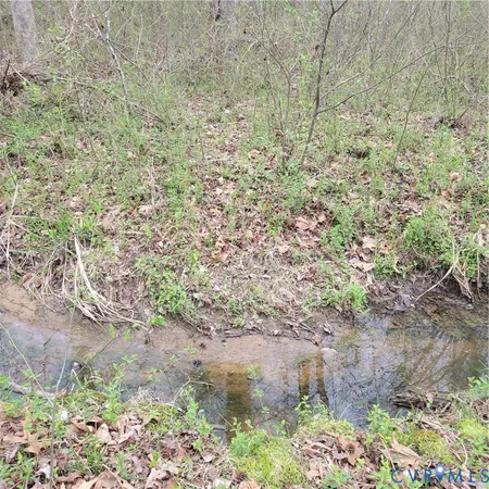 a close up of a plants