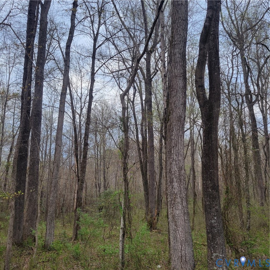 11121 Coalboro Road Chesterfield, VA 23838 - Photo 13 of 14