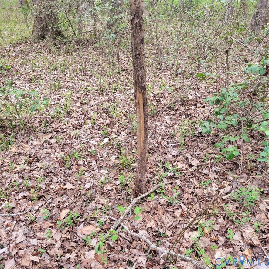 11121 Coalboro Road Chesterfield, VA 23838 - Photo 2 of 14