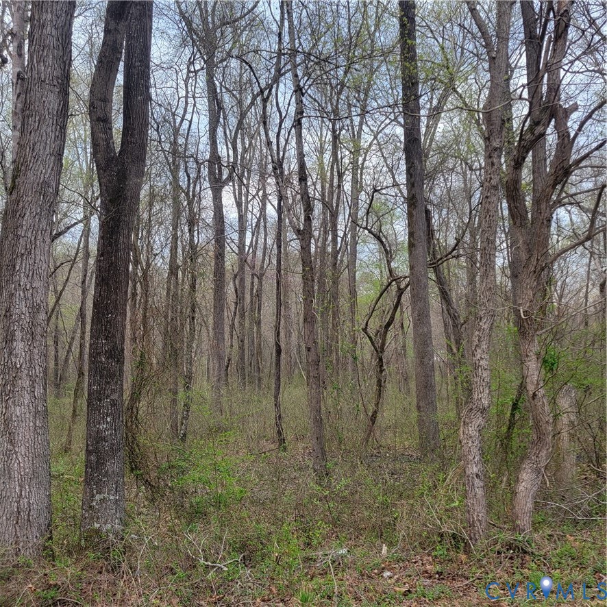 11121 Coalboro Road Chesterfield, VA 23838 - Photo 3 of 14