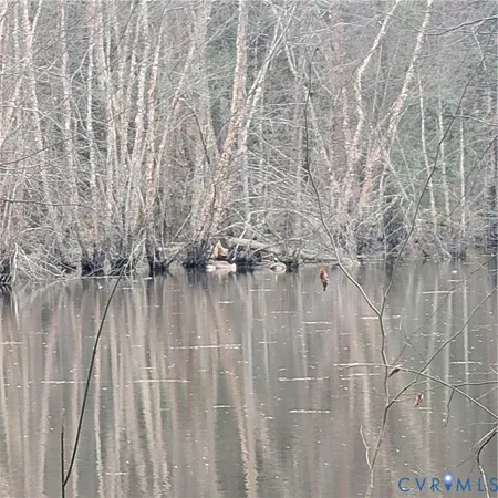 a close up of a shower curtain