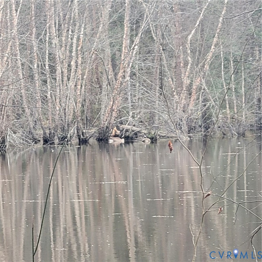 11121 Coalboro Road Chesterfield, VA 23838 - Photo 4 of 14