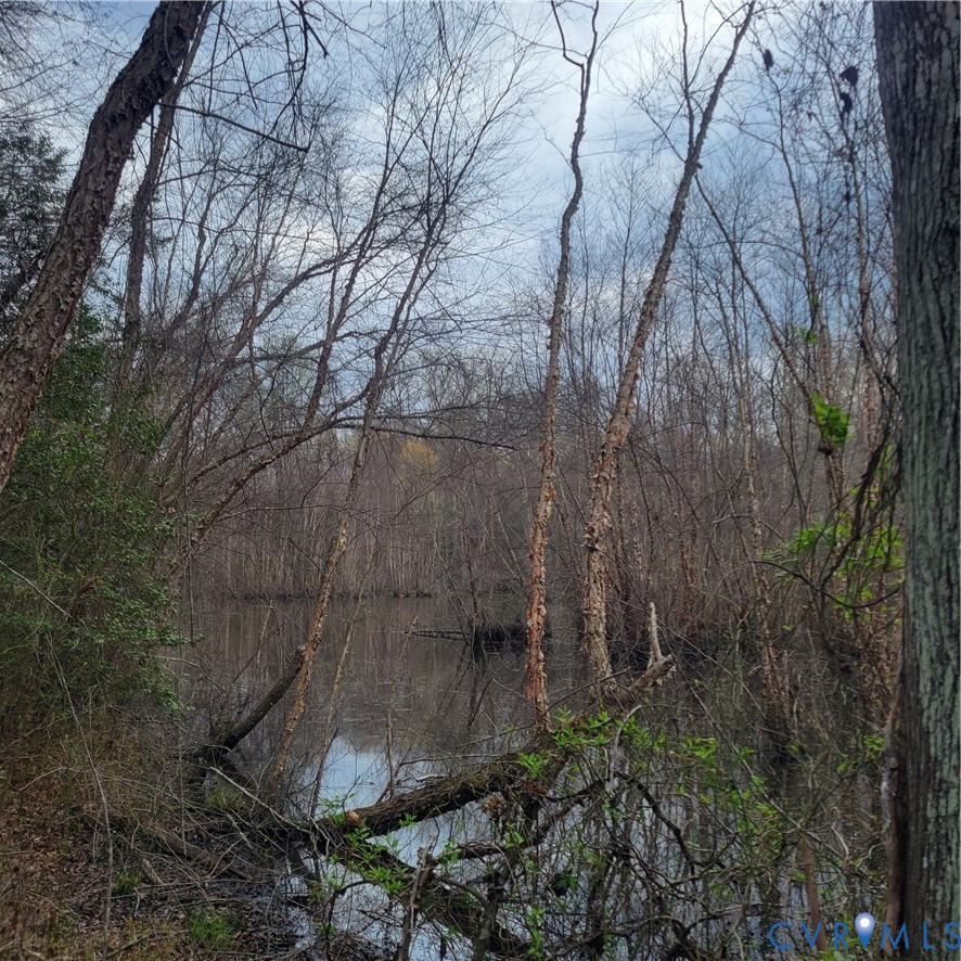 11121 Coalboro Road Chesterfield, VA 23838 - Photo 5 of 14