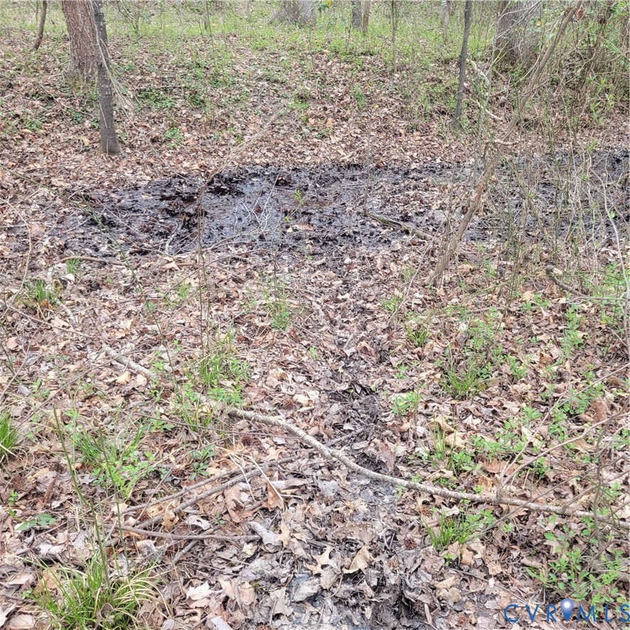 11121 Coalboro Road Chesterfield, VA 23838 - Photo 7 of 14