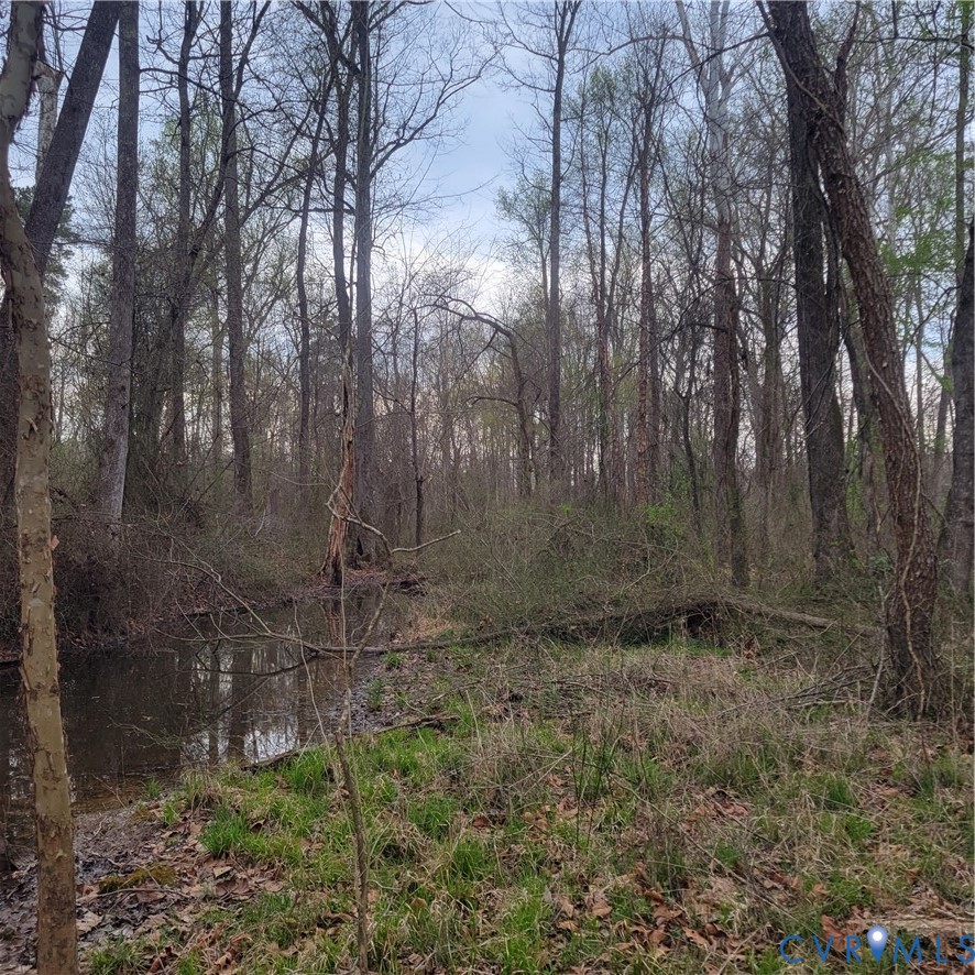 11121 Coalboro Road Chesterfield, VA 23838 - Photo 9 of 14