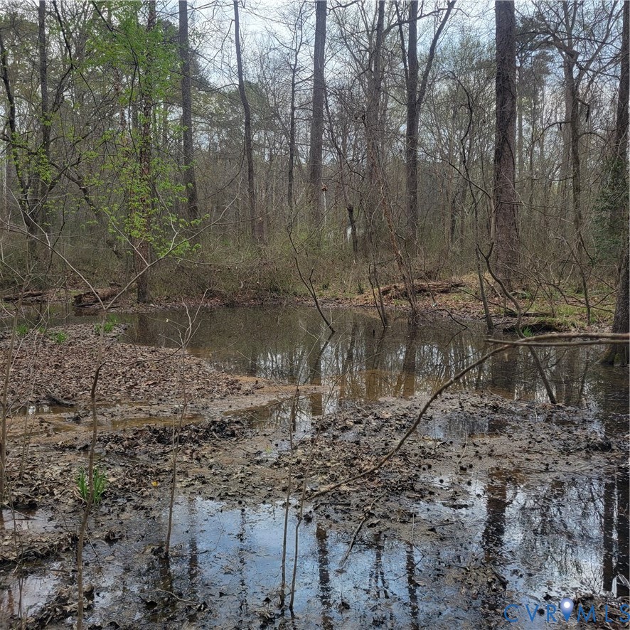 11121 Coalboro Road Chesterfield, VA 23838 - Photo 10 of 14