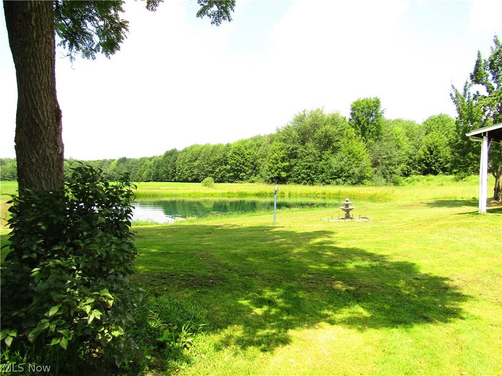 8973 Manes Road Orwell, OH 44076 - Photo 12 of 30