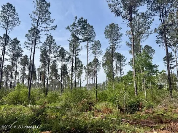 $79,500 | J W Miller Road, Jayess, MS 39641