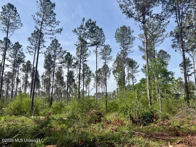 J W Miller Road Jayess, MS 39641 - Photo 11 of 15 IMG_8322