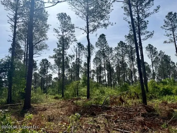 $79,500 | J W Miller Road, Jayess, MS 39641