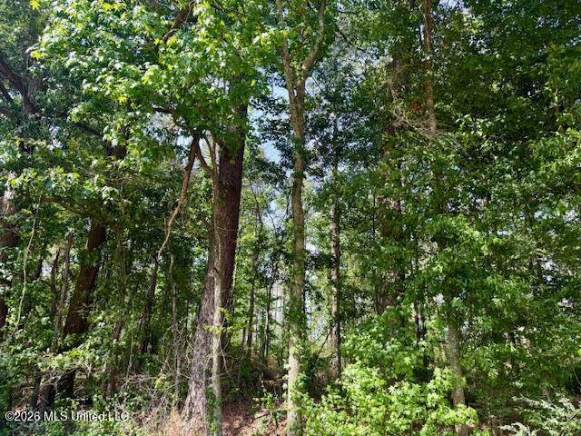 J W Miller Road Jayess, MS 39641 - Photo 14 of 15 IMG_8315