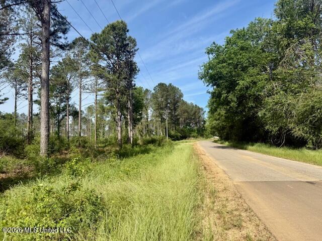 J W Miller Road Jayess, MS 39641 - Photo 15 of 15 IMG_8325