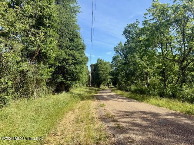 J W Miller Road Jayess, MS 39641 - Photo 2 of 15 IMG_8310