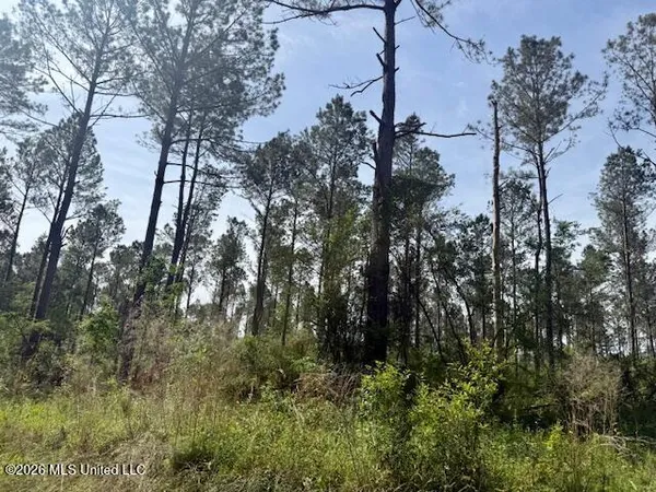 $79,500 | J W Miller Road, Jayess, MS 39641