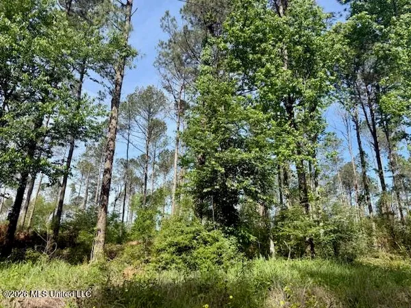 $79,500 | J W Miller Road, Jayess, MS 39641