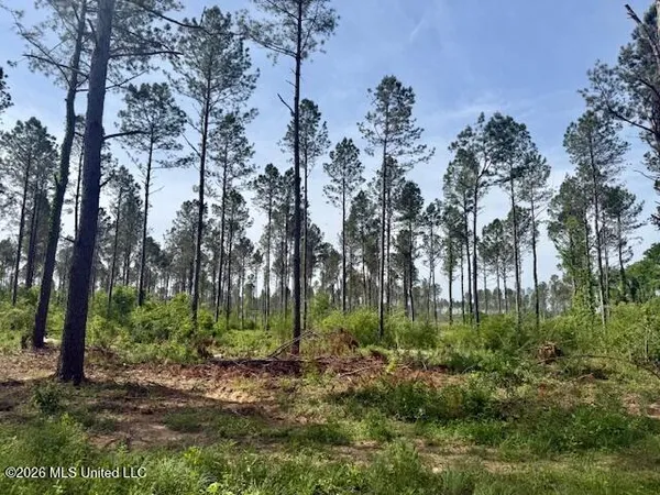 $79,500 | J W Miller Road, Jayess, MS 39641