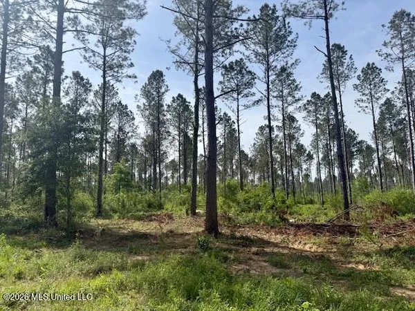 $79,500 | J W Miller Road, Jayess, MS 39641