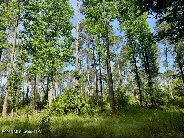 $79,500 | J W Miller Road, Jayess, MS 39641