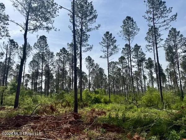 $79,500 | J W Miller Road, Jayess, MS 39641