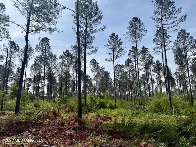 J W Miller Road Jayess, MS 39641 - Photo 10 of 15 IMG_8321