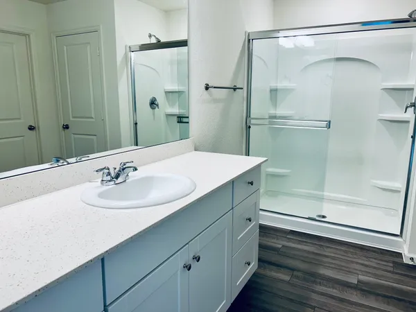 a bathroom with a sink and a mirror
