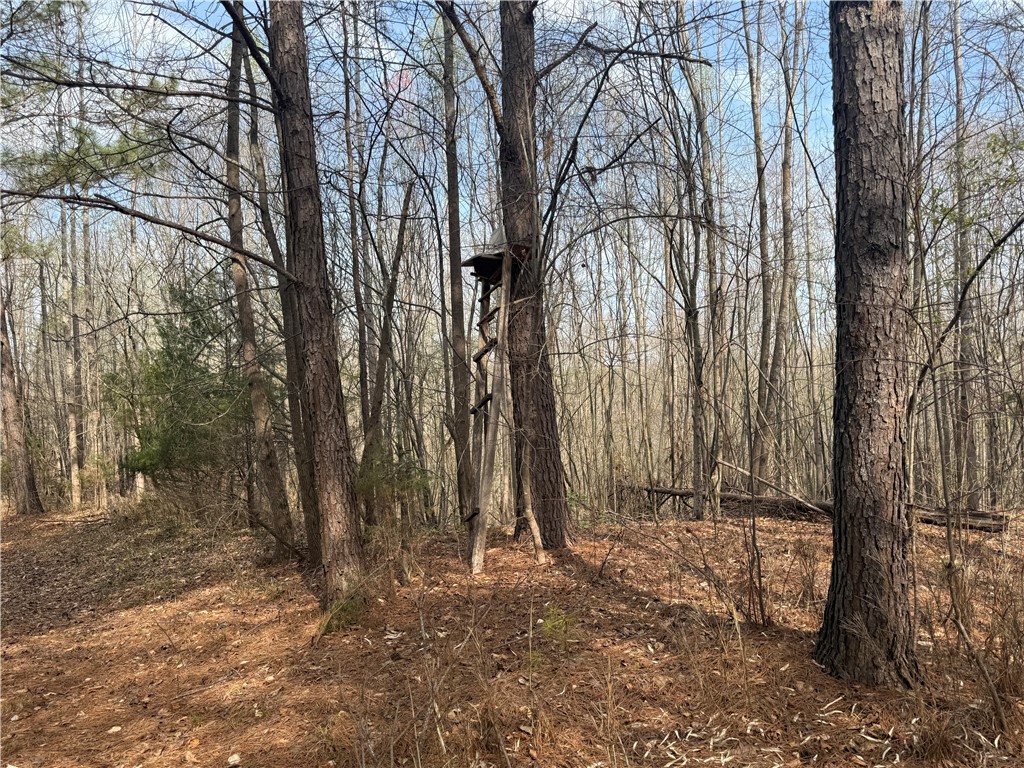 0 Holland Ford Road Pelzer, SC 29669 - Photo 12 of 35