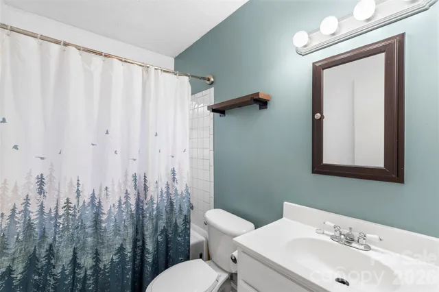 a bathroom with a toilet a sink and mirror