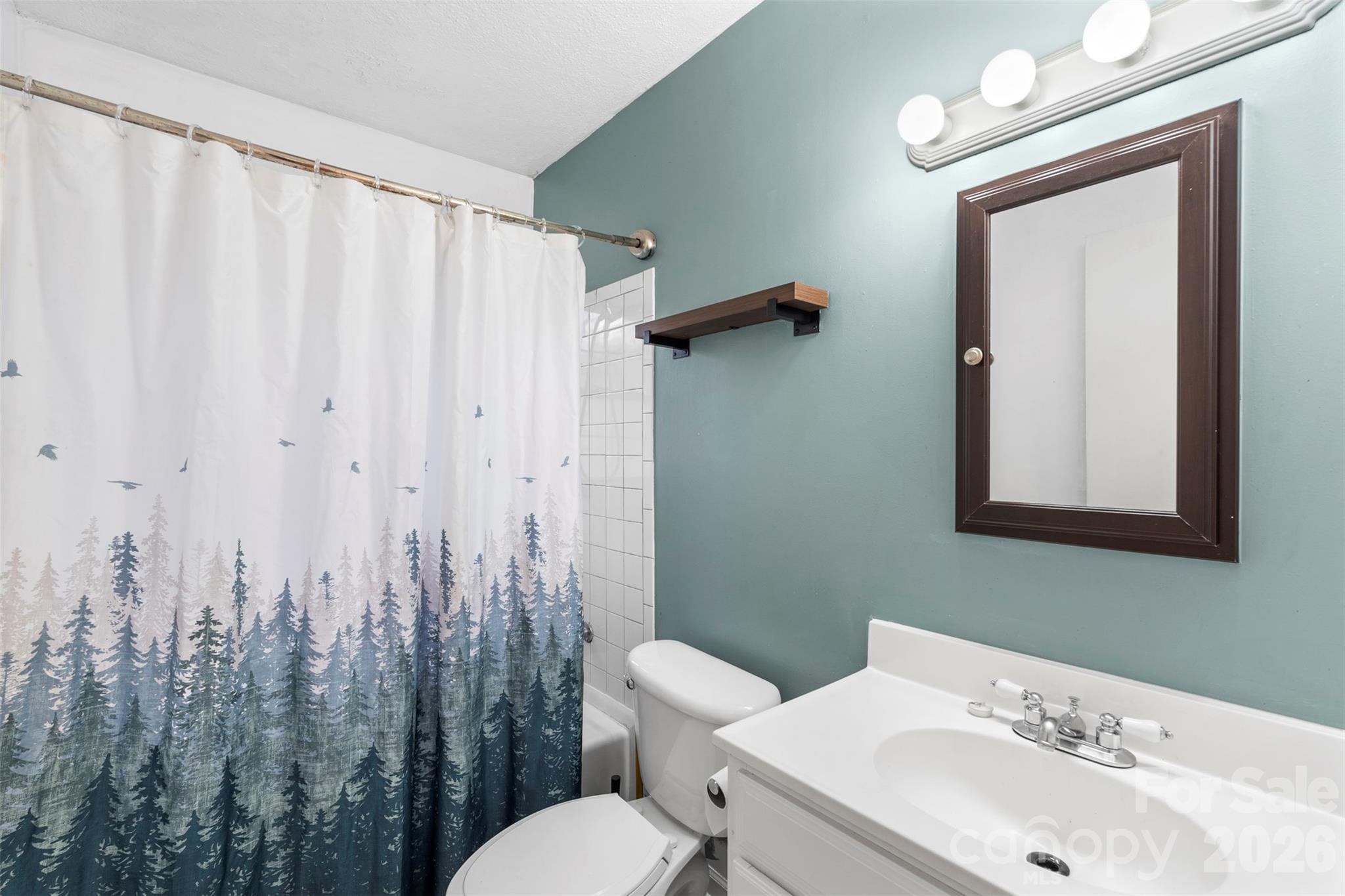 1152 Faulkner Road Clover, SC 29710 - Photo 27 of 39 a bathroom with a toilet a sink and mirror