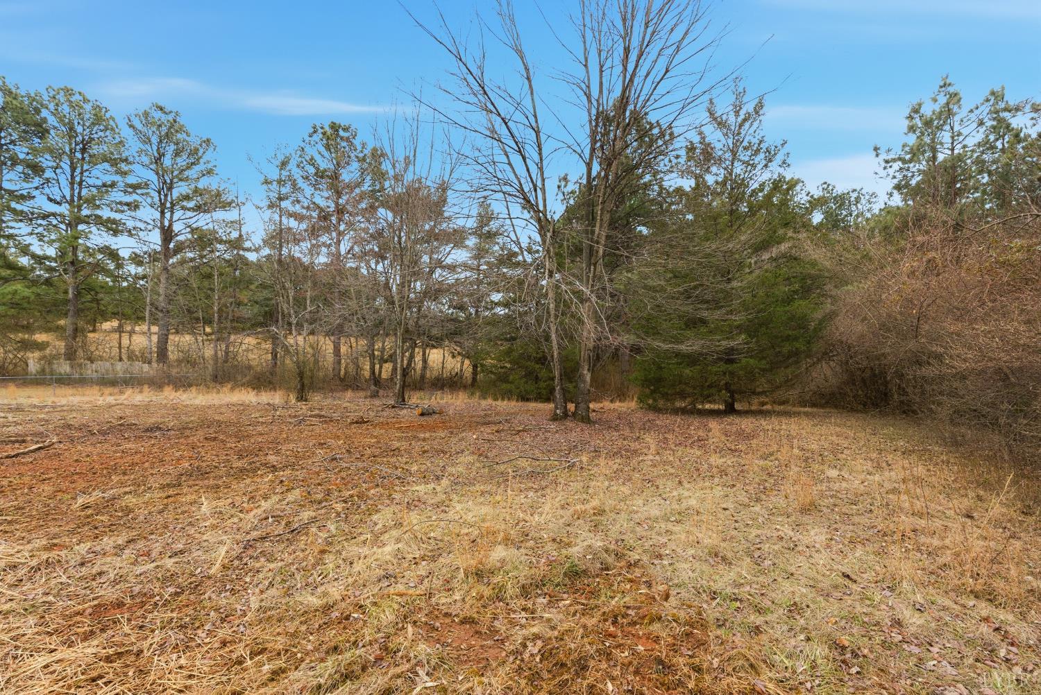 112 Savage Drive Rustburg, VA 24588 - Photo 39 of 51 a view of dirt yard with a large tree