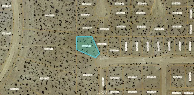 a bathroom with a shower curtain