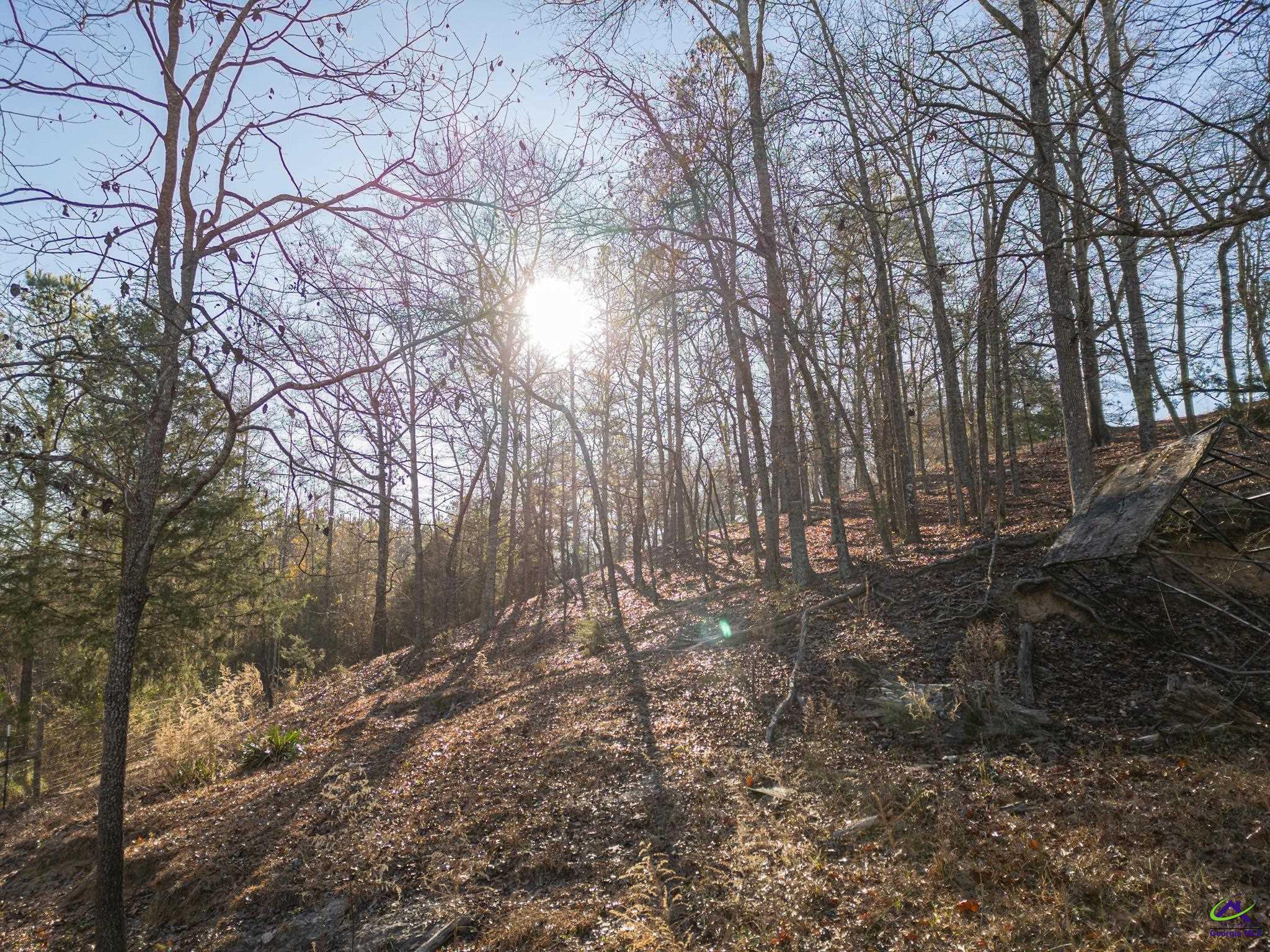 1092 Tommy Purvis Road Reynolds, GA 31076 - Photo 70 of 77