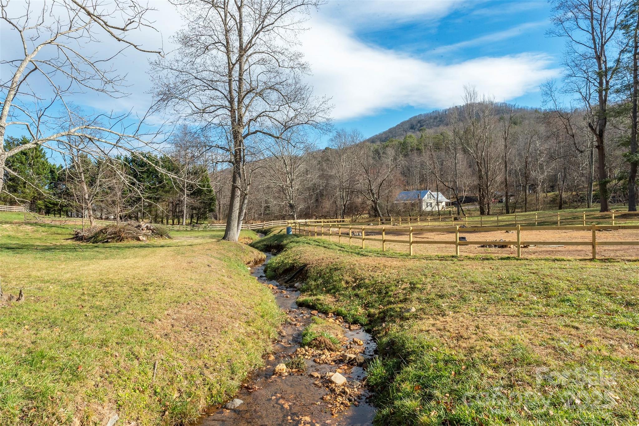 366 Dix Creek Road 2 Road, Unit 2 Leicester, NC 28748 - Photo 27 of 48 a view of yard with tree
