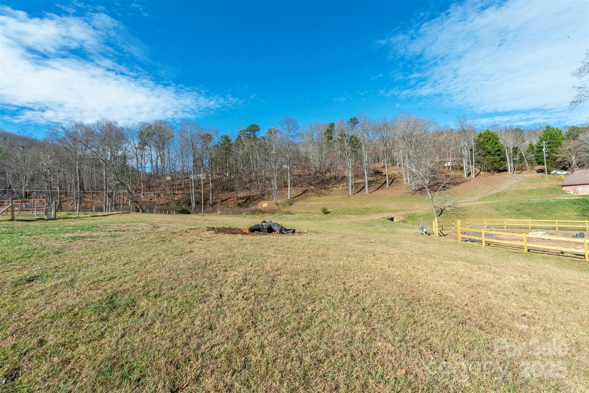 366 Dix Creek Road 2 Road, Unit 2 Leicester, NC 28748 - Photo 30 of 48 a view of a yard with an trees