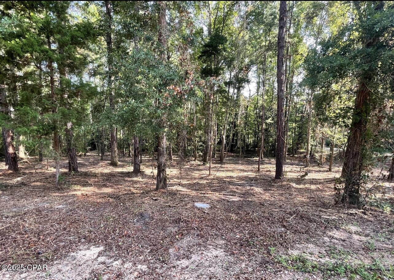 0 Keenkutter Road Vernon, FL 32462 - Photo 1 of 4 Gallery Image 1