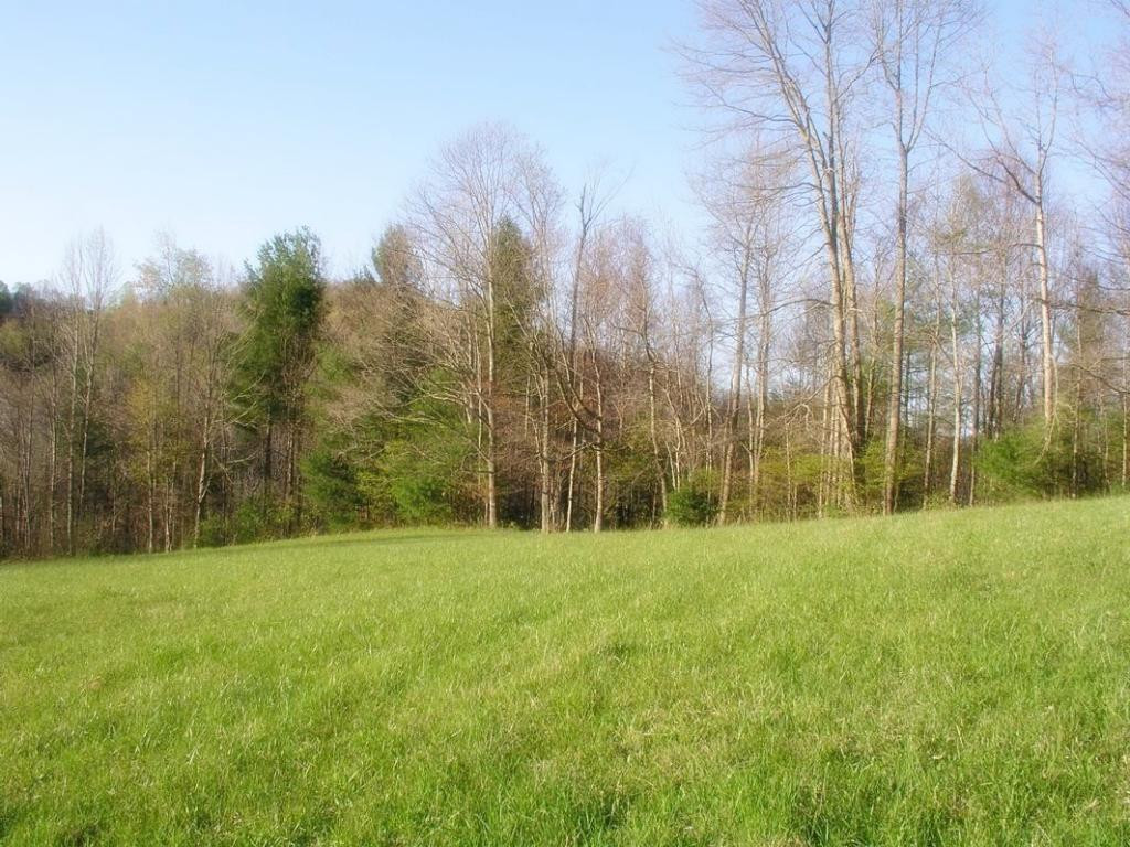935 Simerly Creek Road Hampton, TN 37658 - Photo 2 of 19 Photo 2
