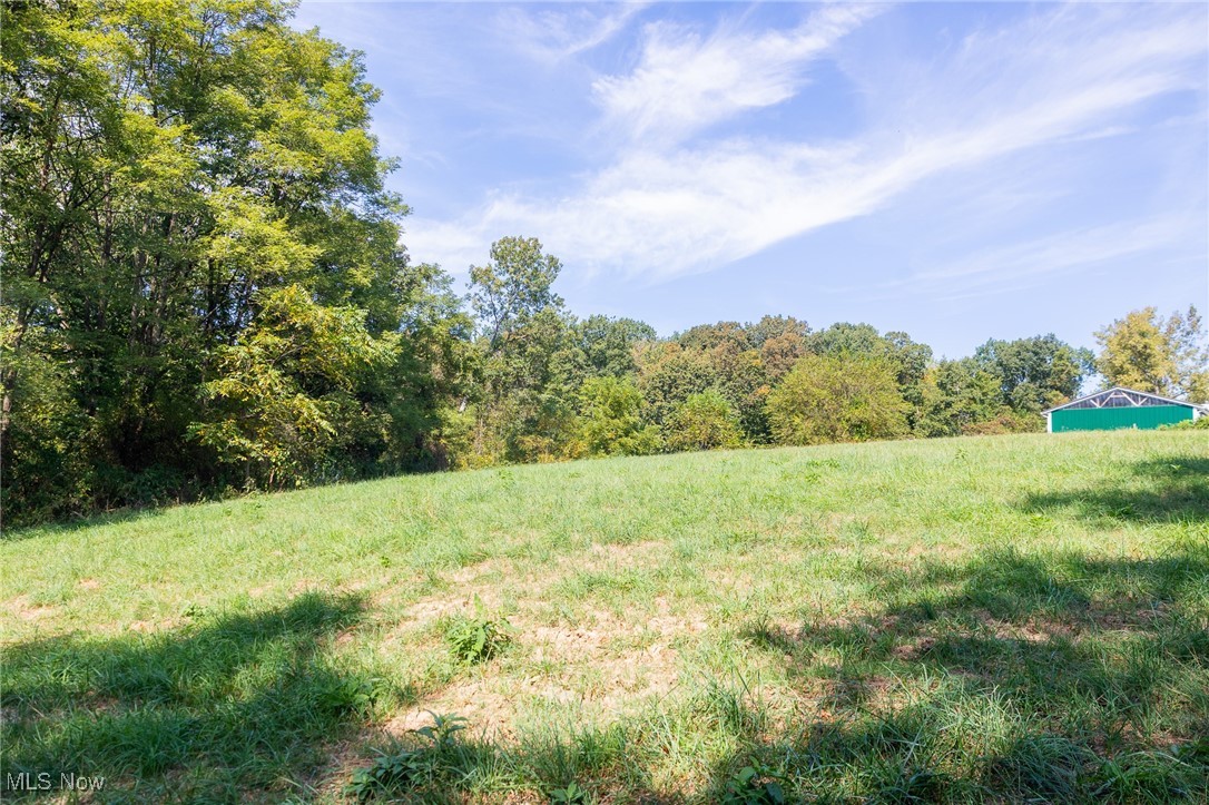 192 Township Road Cadiz, OH 43907 - Photo 3 of 31 View of woods