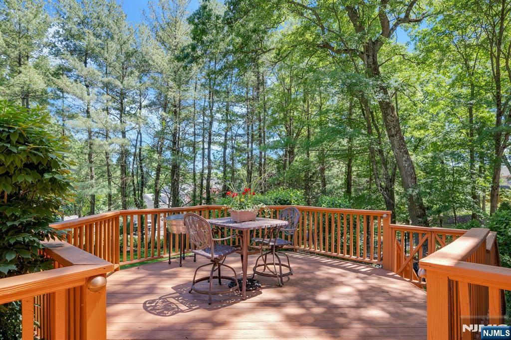 10 Moonshadow Court Butler, NJ 07405 - Photo 39 of 47
