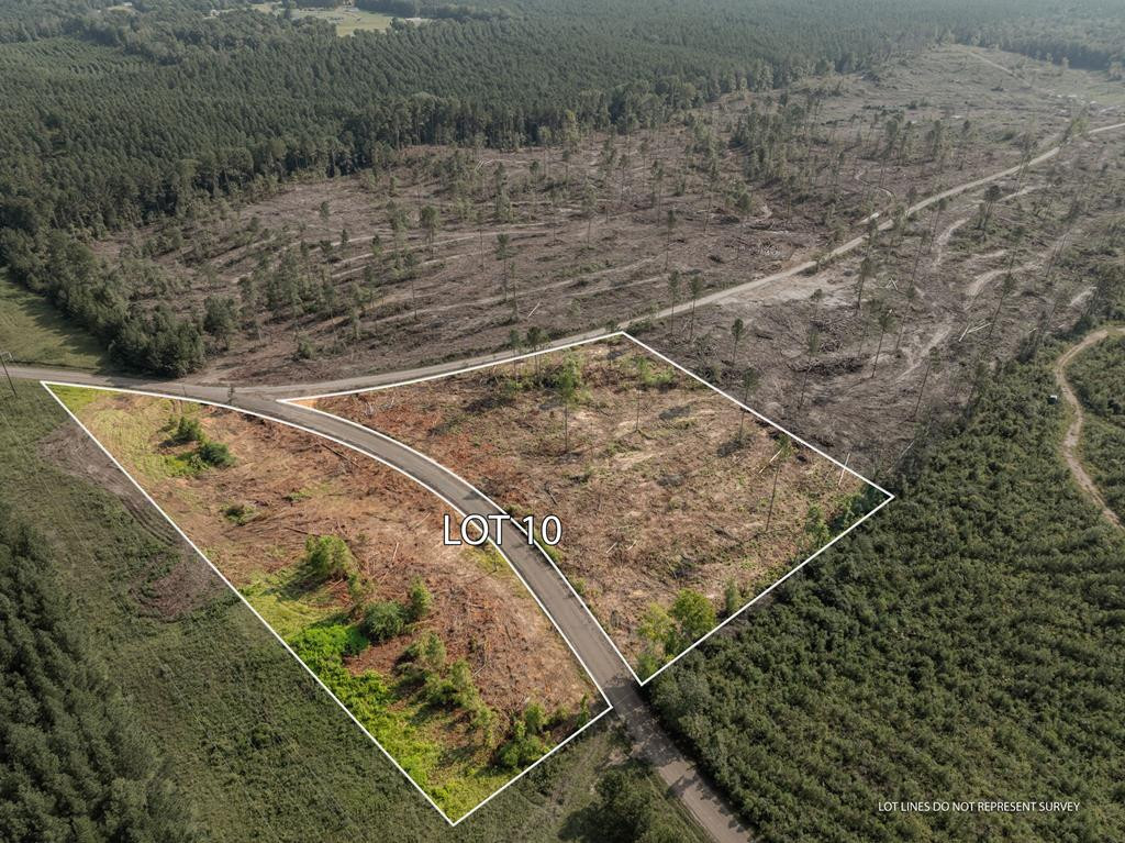 10 Lucas Hollow Road Mount Olive, MS 39119 - Photo 1 of 10 Main View