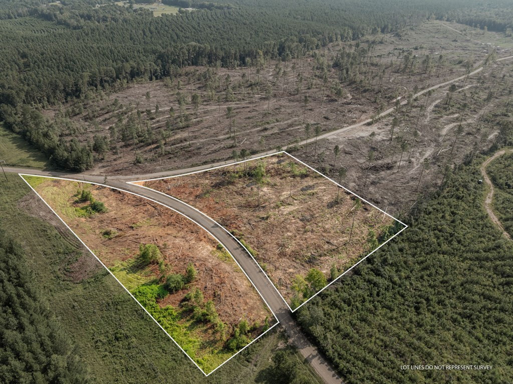 10 Lucas Hollow Road Mount Olive, MS 39119 - Photo 2 of 10 Photo 2