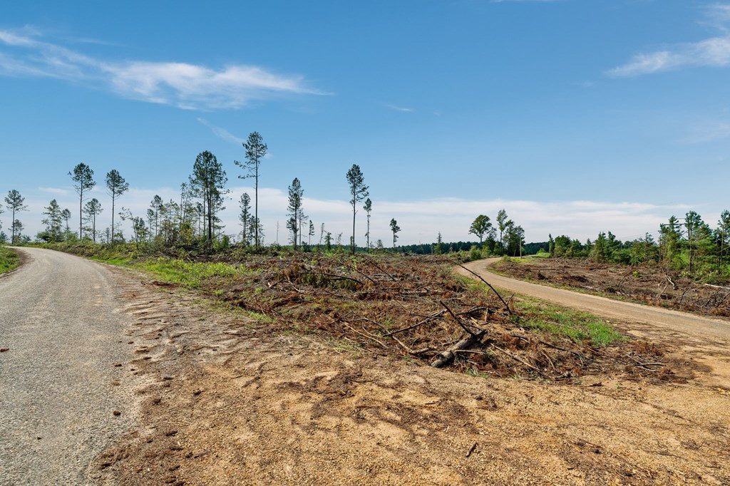 10 Lucas Hollow Road Mount Olive, MS 39119 - Photo 3 of 10 Photo 3
