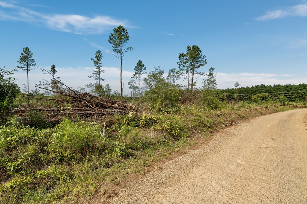 10 Lucas Hollow Road Mount Olive, MS 39119 - Photo 4 of 10 Photo 4