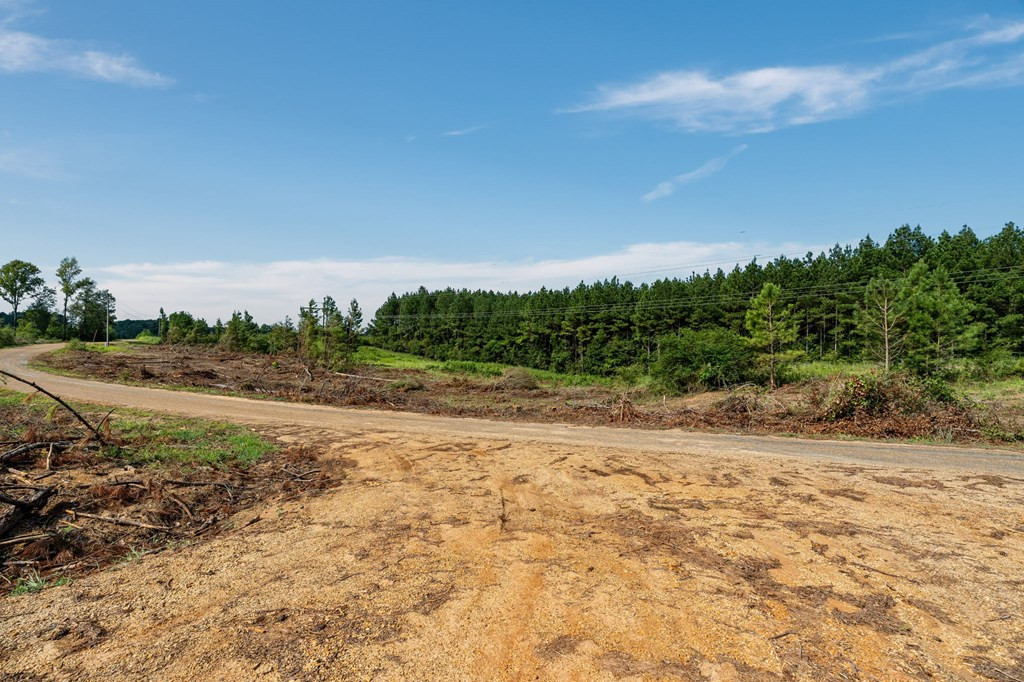 10 Lucas Hollow Road Mount Olive, MS 39119 - Photo 5 of 10 Photo 5